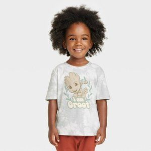 Toddler Boys' Marvel Groot Short Sleeve Graphic T-Shirt Off White 3T